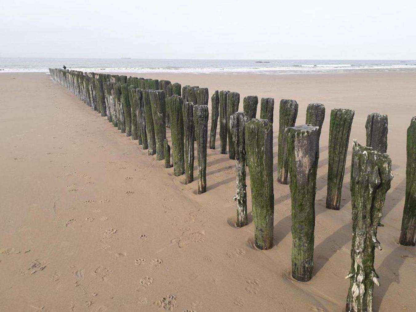 Maison Noomi Knokke-Heist Kültér fotó